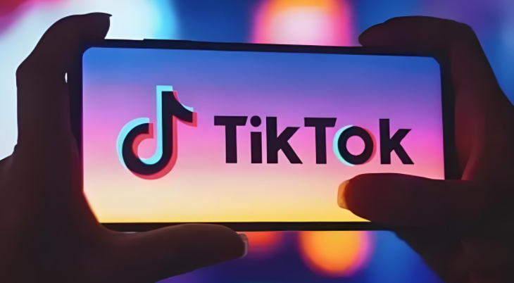 安卓Tik Tok抖音海外版栀蓝源码网